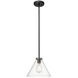 Aliza 1 Light 11 inch Matte Black Indoor Pendant Ceiling Light